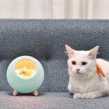 EMERGE Wooden Aesthetic Cat Pet House LED Lamp