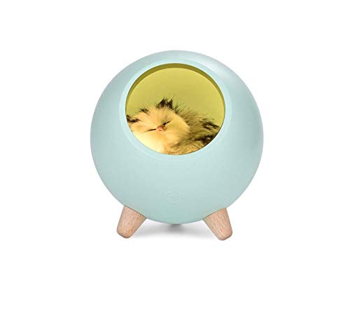 Little pet sales house lamp