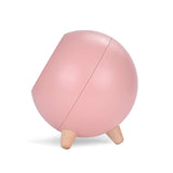 EMERGE Wooden Aesthetic Cat Pet House LED Lamp