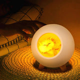 EMERGE Wooden Aesthetic Cat Pet House LED Lamp